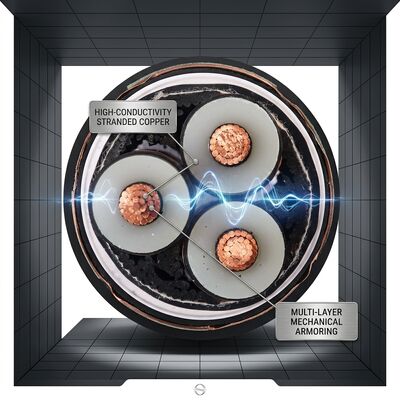 40 साल सेवा जीवन एक्सएलपीई इंसुलेटेड डबल स्टील टेप आर्मर्ड केबल 0.6/1kV देने वाला