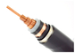 डबल लेयर स्टील टेप बख़्तरबंद विद्युत केबल IEC60228 मानक आपूर्तिकर्ता