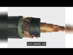 प्रोफेशनल एक्सएलपीई इंसुलेटेड पावर केबल हाई वोल्टेज केबल इंसुलेशन नेचर कलर