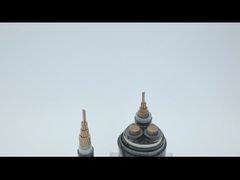 600V कॉपर पीवीसी बख्तरबंद विद्युत केबल