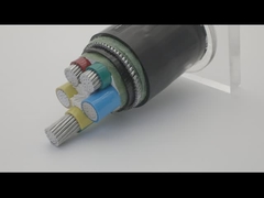 AWA SWA आर्मर्ड कॉपर 100 मीटर लंबाई वाली पीवीसी शीथेड स्ट्रैंडेड केबल